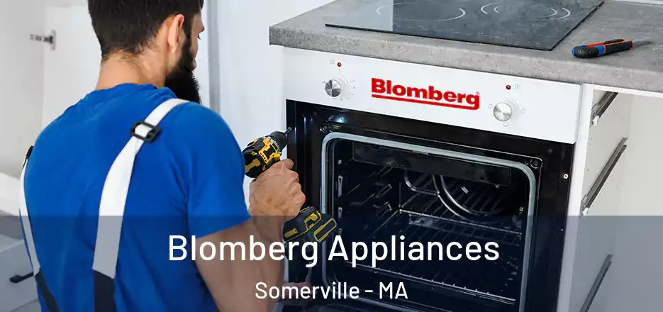 Blomberg Appliances Somerville - MA
