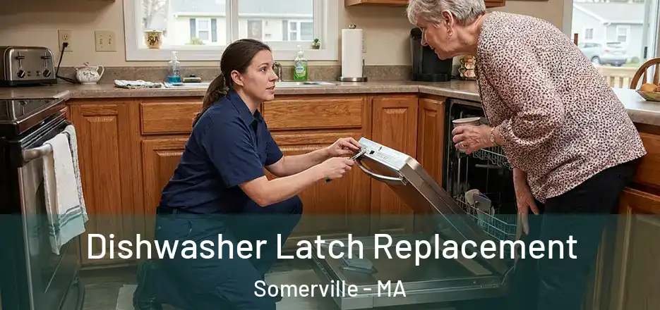 Dishwasher Latch Replacement Somerville - MA