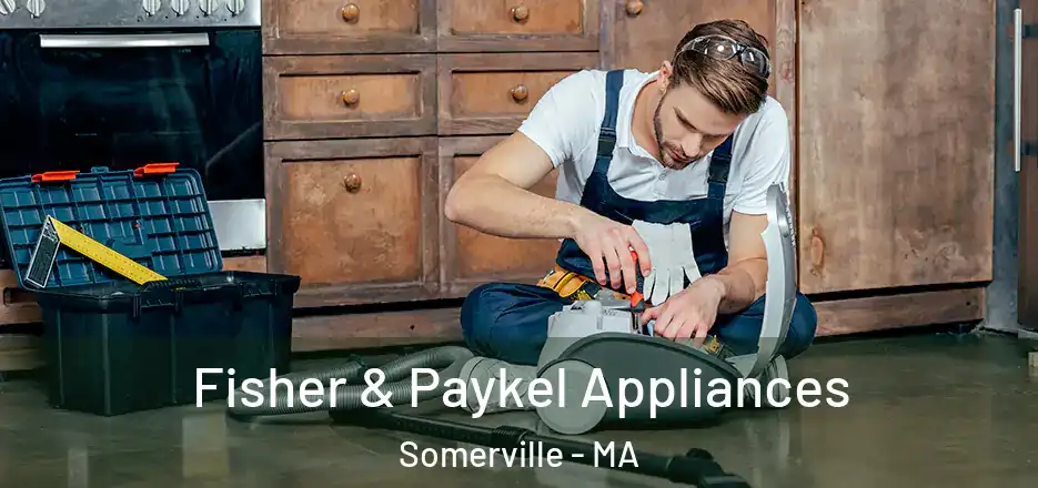 Fisher & Paykel Appliances Somerville - MA