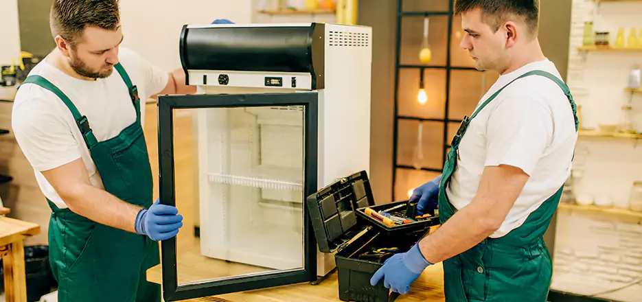 Freezer Repair in Somerville