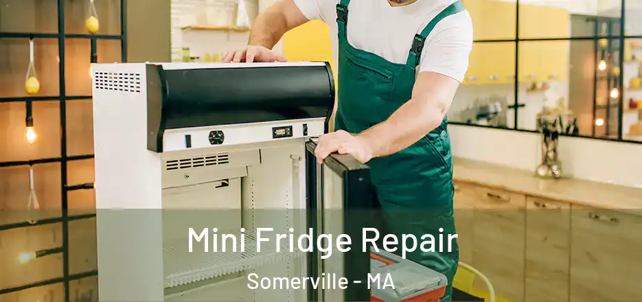 Mini Fridge Repair Somerville - MA