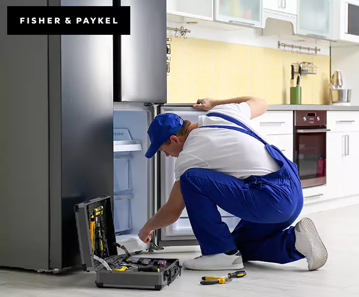 Top-Rated Fisher & Paykel Appliance Experts: Your Brand Specialist in Somerville, MA